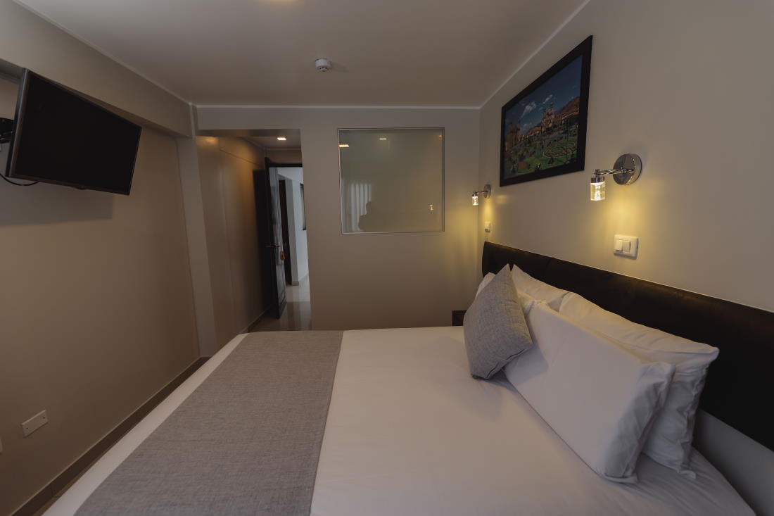 Habitacion doble estandar con 1 cama doble 